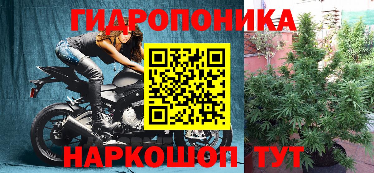 Каннабис планчик Алушта